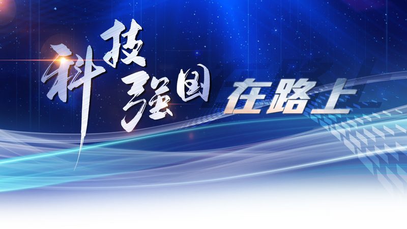 移动端数据安全与隐私保护：本质区别与实施要点