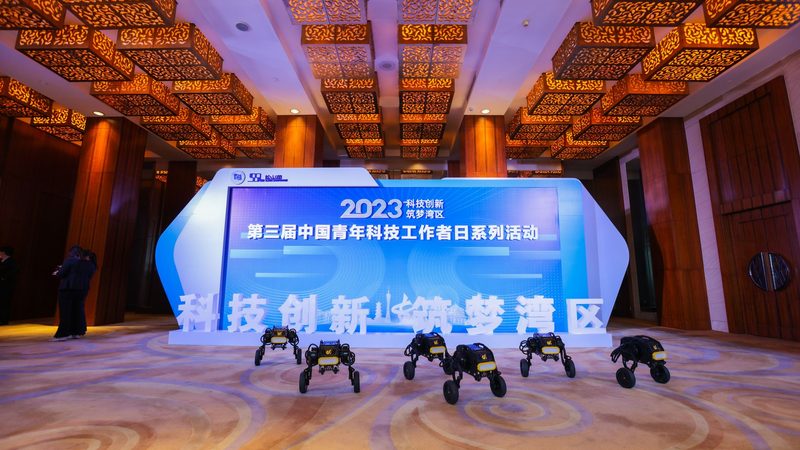 信息化建设中的关键参数：数字化转型的核心考量**